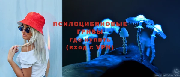 мяу мяу мука Алзамай