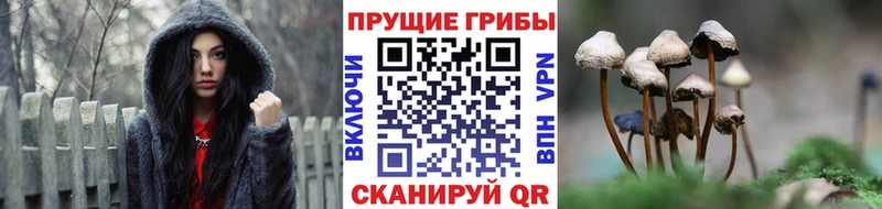 наркошоп  ссылка на мегу ссылка  Галлюциногенные грибы мицелий  Наволоки 